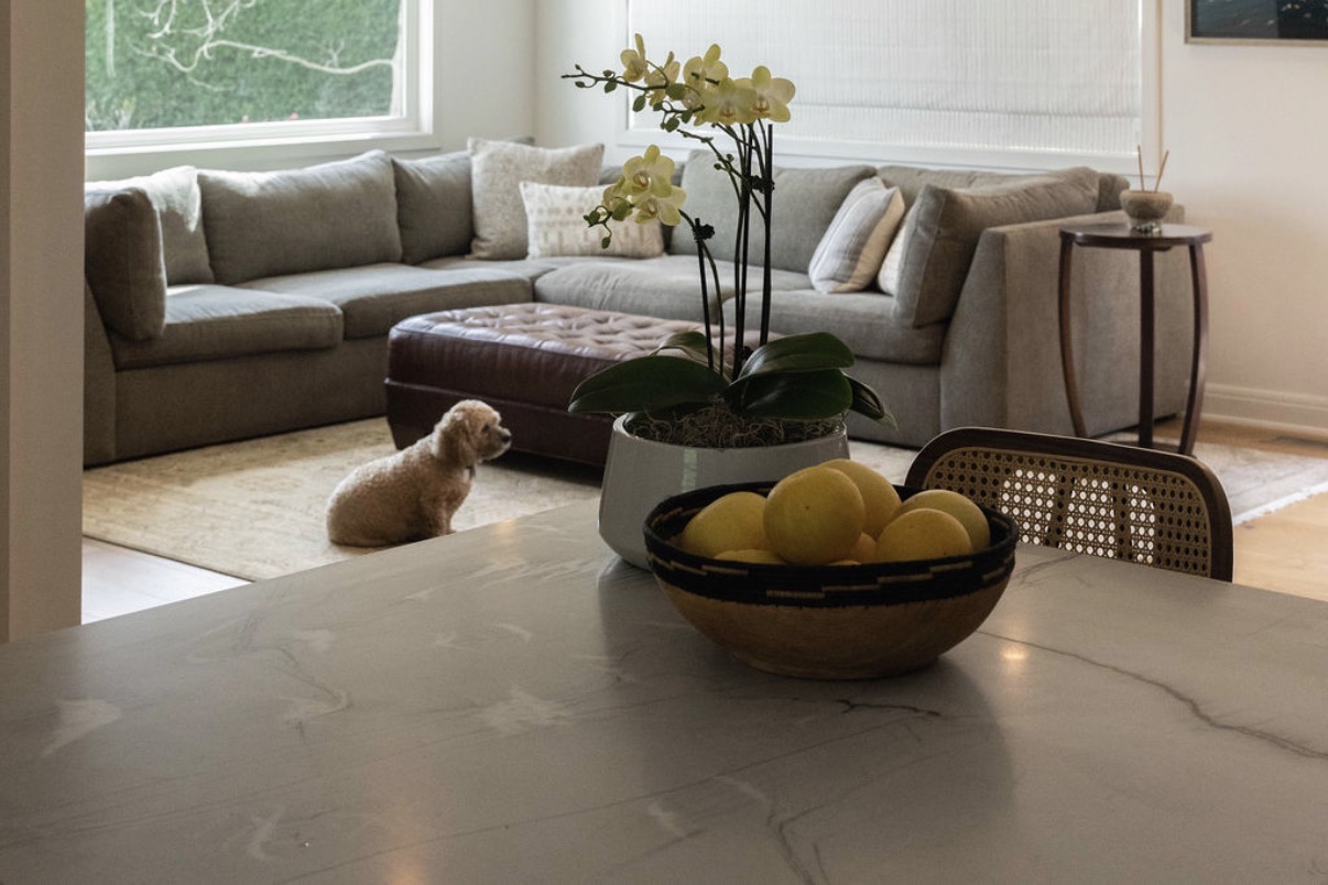 Capa Fina interior design — Los Feliz, CA — Interior V